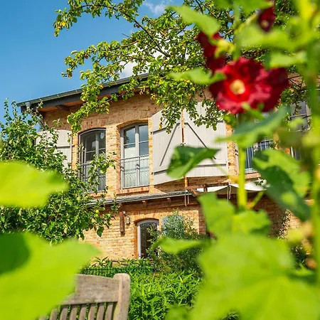 דירה Backsteinhus, App Achtern Diek Dargen